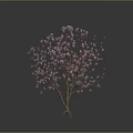 Tree with Pink Flowers Slender Trunk Branches and Exposed Roots on Dark Background 3d model