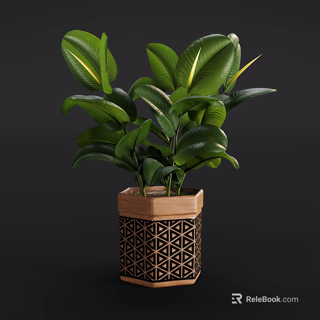 Decorative Potted Plant with Green Leaves in Hexagonal Wooden Black Geometric Pattern Pot 3d model 