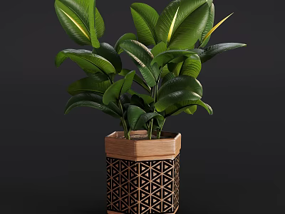 Decorative Potted Plant with Green Leaves in Hexagonal Wooden Black Geometric Pattern Pot 3d model