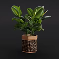 Decorative Potted Plant with Green Leaves in Hexagonal Wooden Black Geometric Pattern Pot