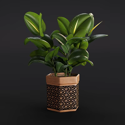 Decorative Potted Plant with Green Leaves in Hexagonal Wooden Black Geometric Pattern Pot 3d model