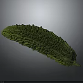 Fresh Green Bitter Gourd With Bumpy Surface Isolated On Dark Background 3d model