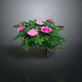 Elegant Pink Flowers In Decorative Vase With Green Leaves For Home Decor