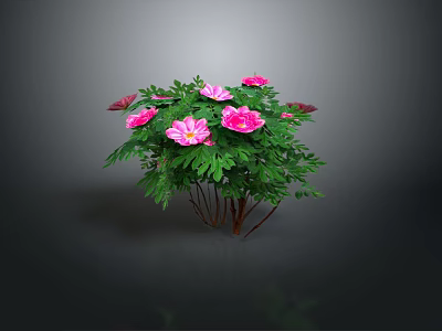 Elegant Pink Flowers In Decorative Vase With Green Leaves For Home Decor 3d model