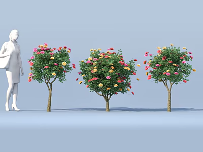 Three Flowering Shrubs With Red Yellow Blooms And White Figure In Landscape Design 3d model