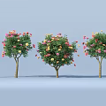 Three Flowering Shrubs With Red Yellow Blooms And White Figure In Landscape Design