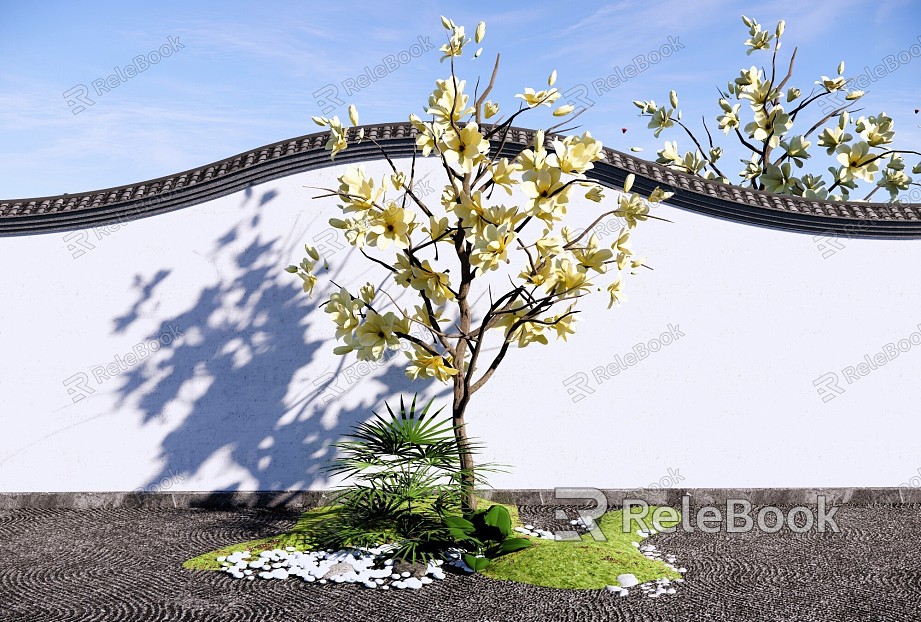 Arbor Magnolia Tree Courtyard Landscape Tree Garden Landscape Tree Flower Qiao Erqiao Magnolia model