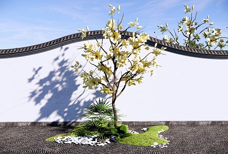 Arbor Magnolia Tree Courtyard Landscape Tree Garden Landscape Tree Flower Qiao Erqiao Magnolia 3d model