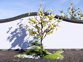 Arbor Magnolia Tree Courtyard Landscape Tree Garden Landscape Tree Flower Qiao Erqiao Magnolia 3d model