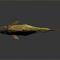 Shiny Golden Goldfish With Red Fins And Tail On Gray Background