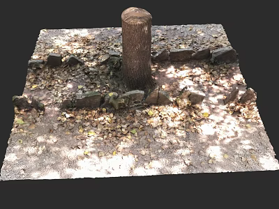 Outdoor Tree Stump Surrounded by Stone Wall with Fallen Leaves and Sunlight 3d model
