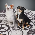 Two Small White And Black Dogs Sitting On Tablecloth With Gear And Clock Patterns 3d model