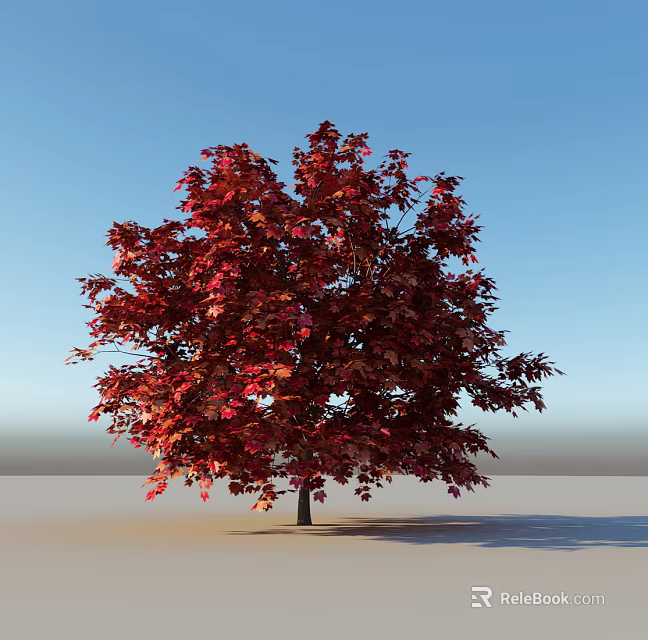 Lush Tree with Vibrant Red Leaves Against Blue Sky and Gray Ground 3d model 