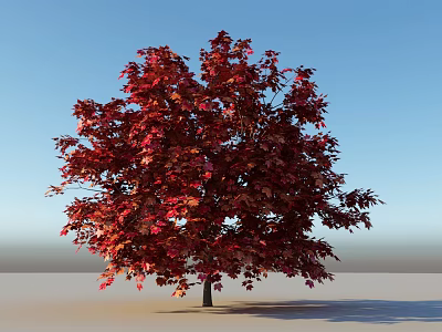 Lush Tree with Vibrant Red Leaves Against Blue Sky and Gray Ground 3d model