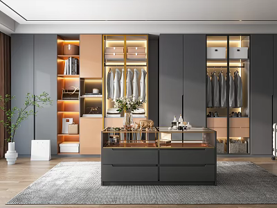 Modern Walk in Closet With Gray Wood Cabinetry Hanging Clothes Glass Display And Area Rug 3d model