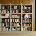 Modern Wooden Bookshelf Interior Design With Multiple Shelves Filled With Colorful Books And Decor