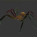 Detailed Brown Spider With Carved Texture Body And Long Legs Isolated On Dark Background