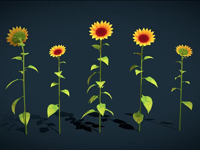 Vibrant Sunflowers With Yellow Petals Brown Centers Green Stems And Leaves On Dark Background 3d model