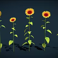Vibrant Sunflowers With Yellow Petals Brown Centers Green Stems And Leaves On Dark Background