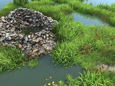 Lush Green Grass and Yellow Flowers Around Natural Pond With Stone Structure and Aquatic Plants 3d model