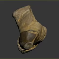 Paleontologist Examining Ancient Dinosaur Fossilized Tooth Specimen With Rough Surface Texture