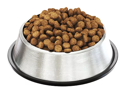 Nutritious Pet Food Dry Kibble in Stainless Steel Bowl for Dogs 3d model
