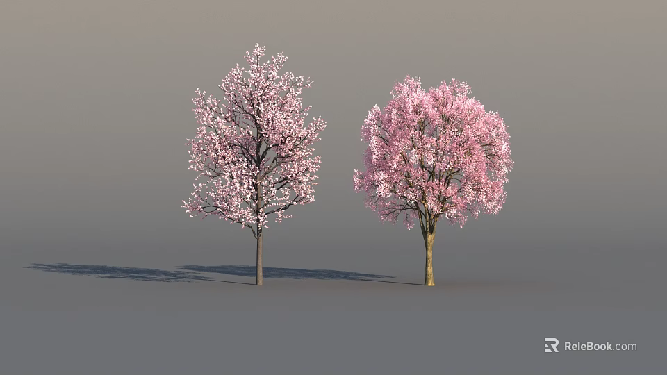 Two Flowering Trees With Pink Blossoms Standing Against Gray Background With Shadows 3d model 