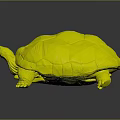 Realistic Tortoise With Brown Patterned Shell And Grey Body On Dark Background 3d model