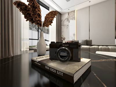 Stylish Decorative Ornament Combination With Vase Dried Flowers Camera And Book On Black Table 3d model