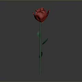 Beautiful Red Rose Plant With Green Stem And Fresh Leaves Against Gray Background
