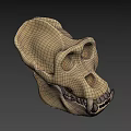 Realistic 3D Model of Ape Skull Showing Anatomical Structure Details