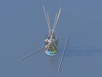Scented Reed Diffuser In Transparent Glass Bottle With Natural Reed Sticks 3d model