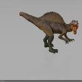 Brown And Orange Spinosaurus Dinosaur With Sailback Open Mouth Roaring Standing Pose