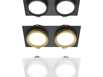 Modern Double Recessed Spotlights In Black Gold White Ceiling Lighting Design 3d model