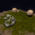 Medical Anatomical Skull Specimens Lying On Grassy Ground With Stones