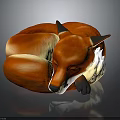 Cozy Red Fox Curled Up Sleeping With Red And White Fur On Dark Background