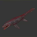 Anatomically Realistic Prehistoric Marine Reptile 3D Model With Open Mouth And Flippers