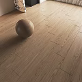 Light Wood Floor With Natural Grain Decorative Ball Green Plant And Curtain