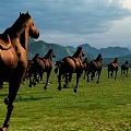 Beautiful Scenery Of Vast Grassland With Herd Of Running Horses Distant Mountains And Cloudy Sky