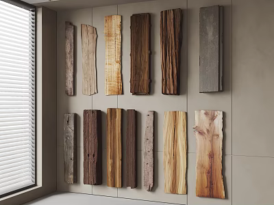 Wood And Stone Samples With Various Textures And Colors Displayed On Interior Wall For Design 3d model