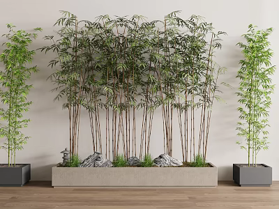 Bamboo Plants For Interior Decoration With Planters Rocks And Grass 3d model