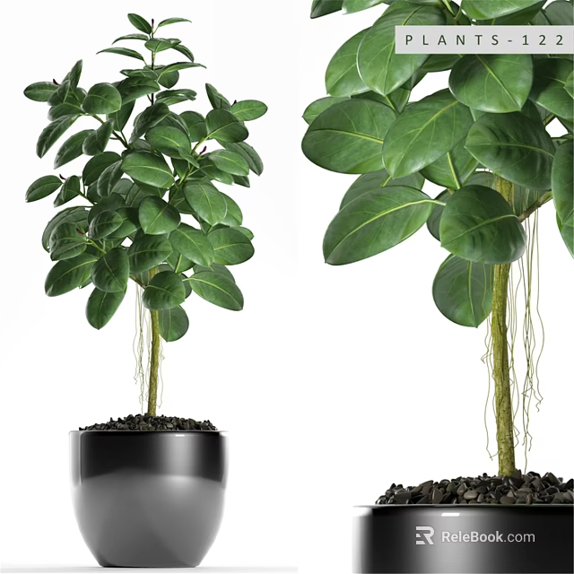 Decorative Plant Arrangement with Lush Green Leaves and Black Pot Design 3d model 