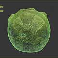 Ancient Clay Pot With Carved Circular Pattern Small Hole And Decorative Motifs