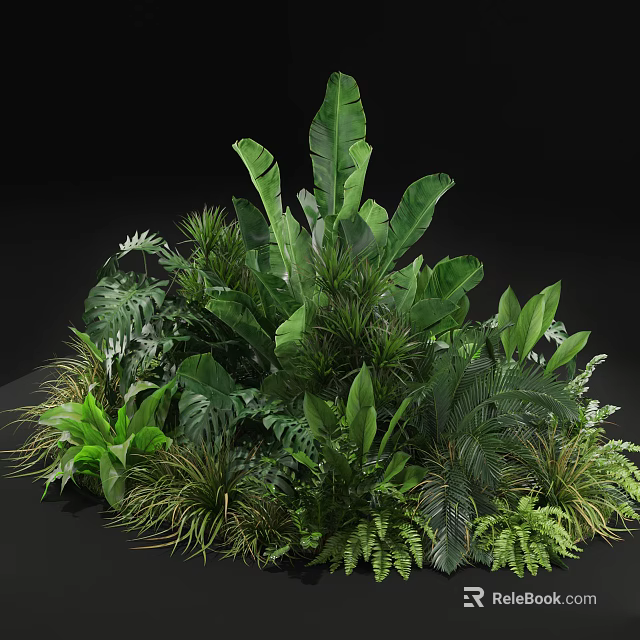 Lush Tropical Green Plants With Large Leaves Ferns And Diverse Foliage 3d model 