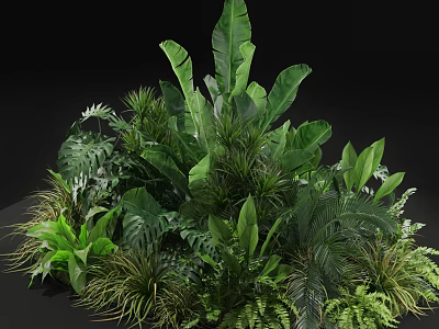 Lush Tropical Green Plants With Large Leaves Ferns And Diverse Foliage 3d model