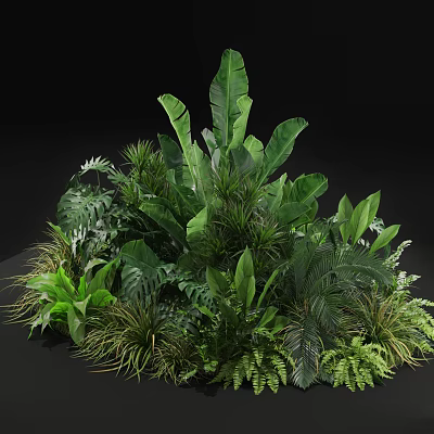 Lush Tropical Green Plants With Large Leaves Ferns And Diverse Foliage 3d model