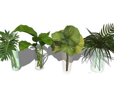 Vase Flowers With Clear Glass Vases And Large Green Leaves Plants 3d model