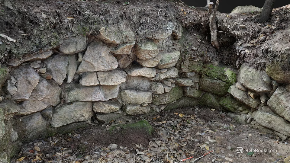 Natural Garden Landscape Featuring Moss Covered Stone Wall And Surrounding Soil With Fallen Leaves 3d model 