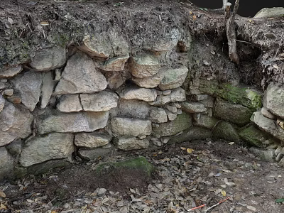 Natural Garden Landscape Featuring Moss Covered Stone Wall And Surrounding Soil With Fallen Leaves 3d model