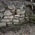 Natural Garden Landscape Featuring Moss Covered Stone Wall And Surrounding Soil With Fallen Leaves